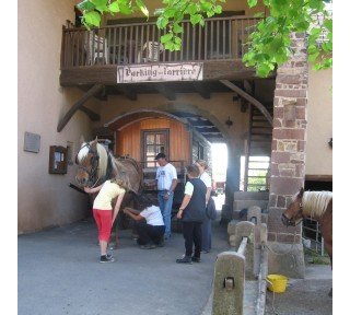 7 Tage mit dem Pferdewagen durch Frankreich