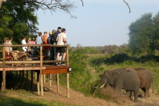 Familienurlaub auf der Makutsi Safari Farm in Südafrika