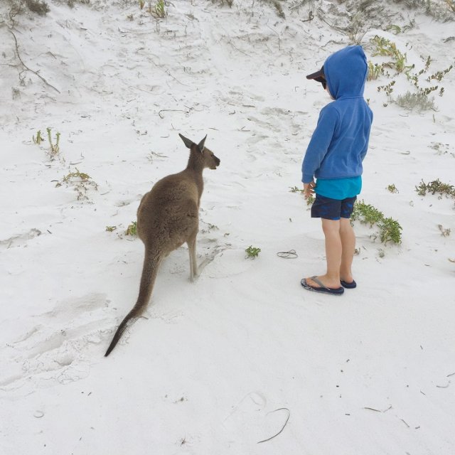 Lucky Bay