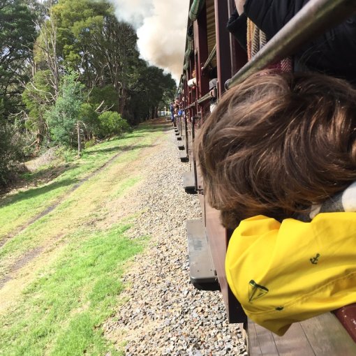 Fahrt mit dem Puffing Billy