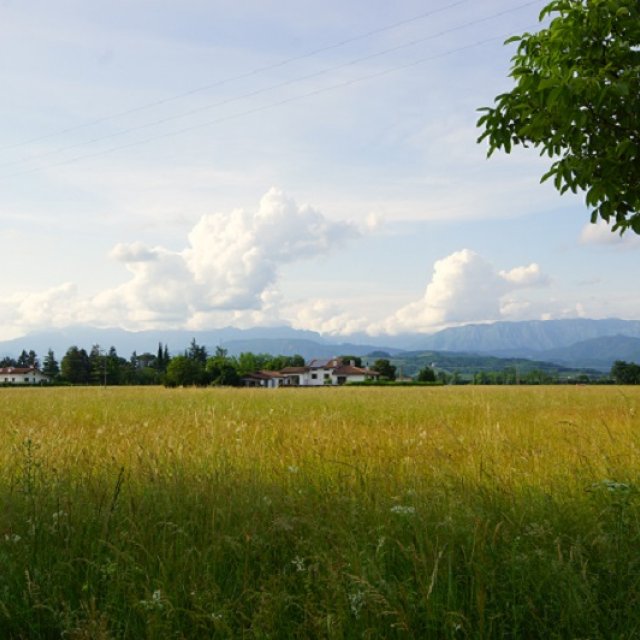 Familienurlaub-italien-udine-landschaft