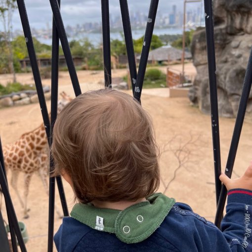 Taronga Zoo, Sydney