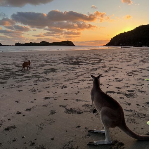 Cape Hillsborough