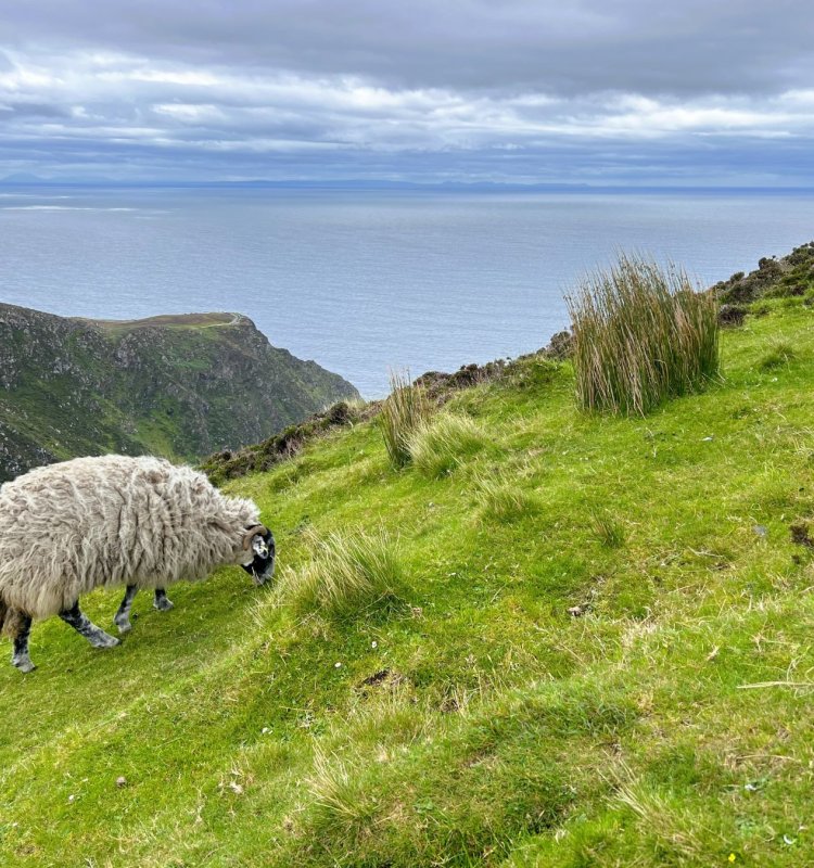 Irland mit Baby und Kind