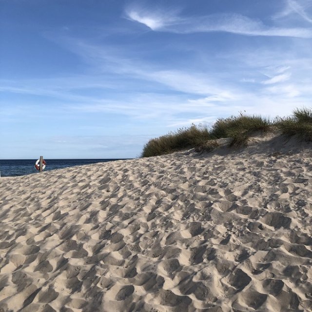 Strand auf Öland