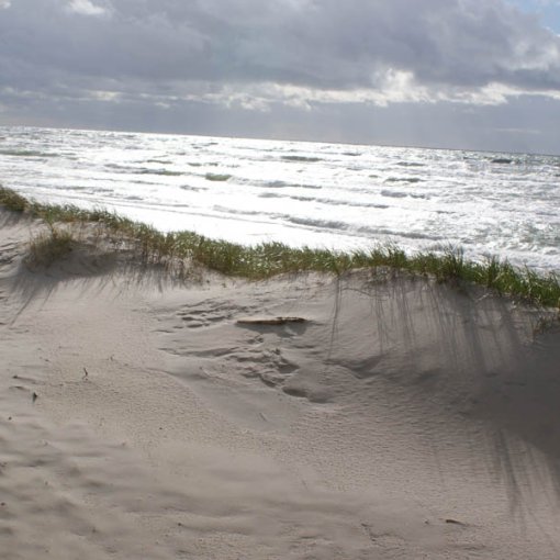 Die Dünenlandschaft der kurischen Nehrung