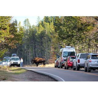 Elternzeitreise USA & Kanada mit dem Mietwagen