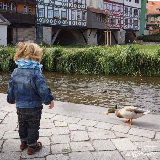 Erfurt mit Kind